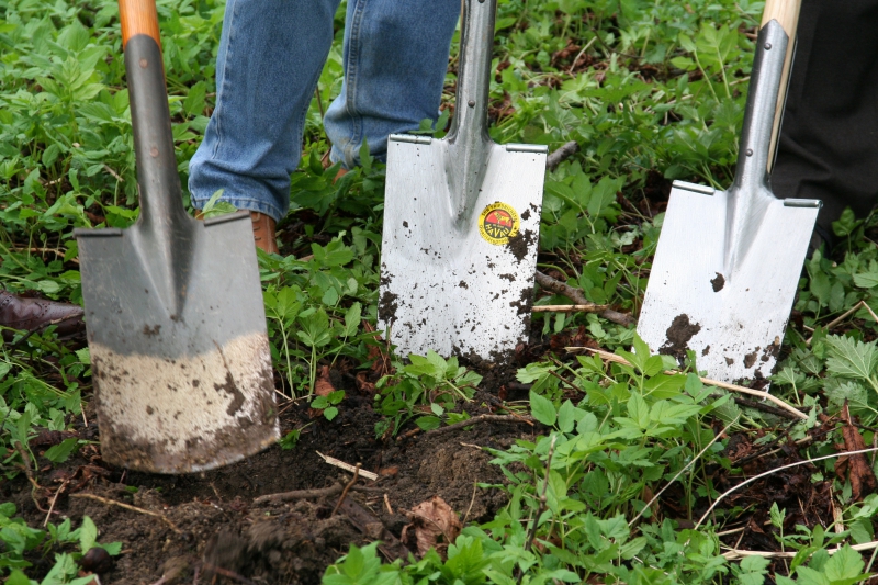 pepiniere-GINASSERVIS-min_work-lawn-flower-tool-green-backyard-1103633-pxhere.com